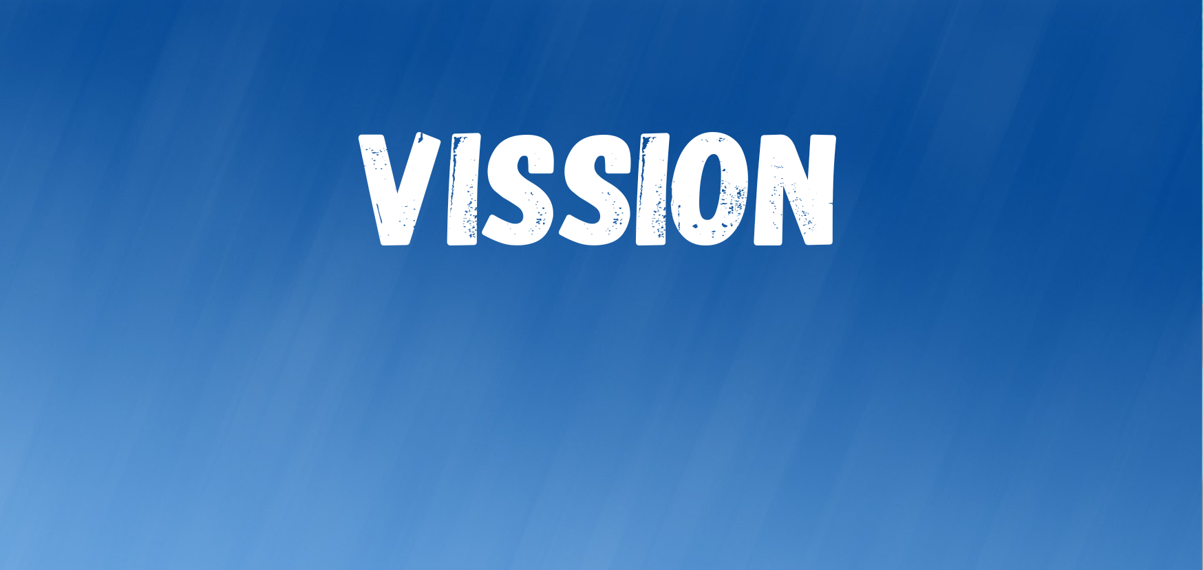 Vision